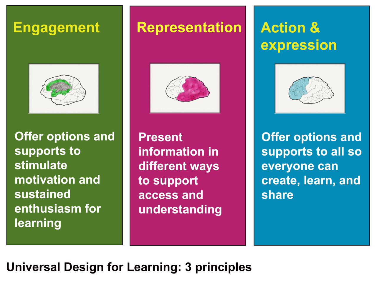 3-principles-of-UDL-based-on-the-work-of-CAST-Center-of-Applied-Special-Technologies